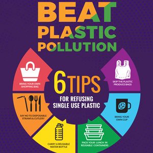 Plastic-free Living