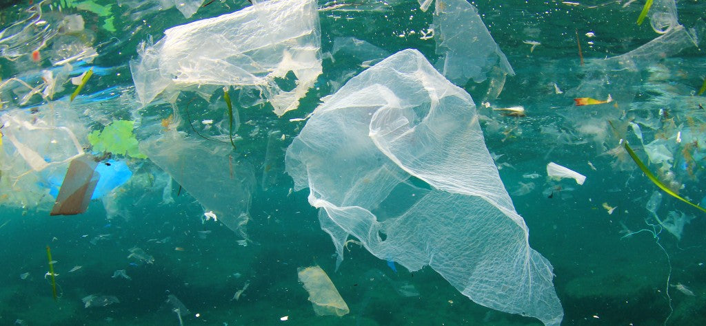 Biodegradable plastics - the next big threat to the environment?