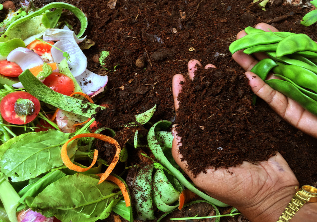 Tips for composting in Summer