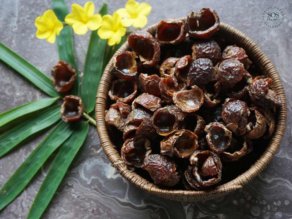 Soap nuts or Wonder nuts?