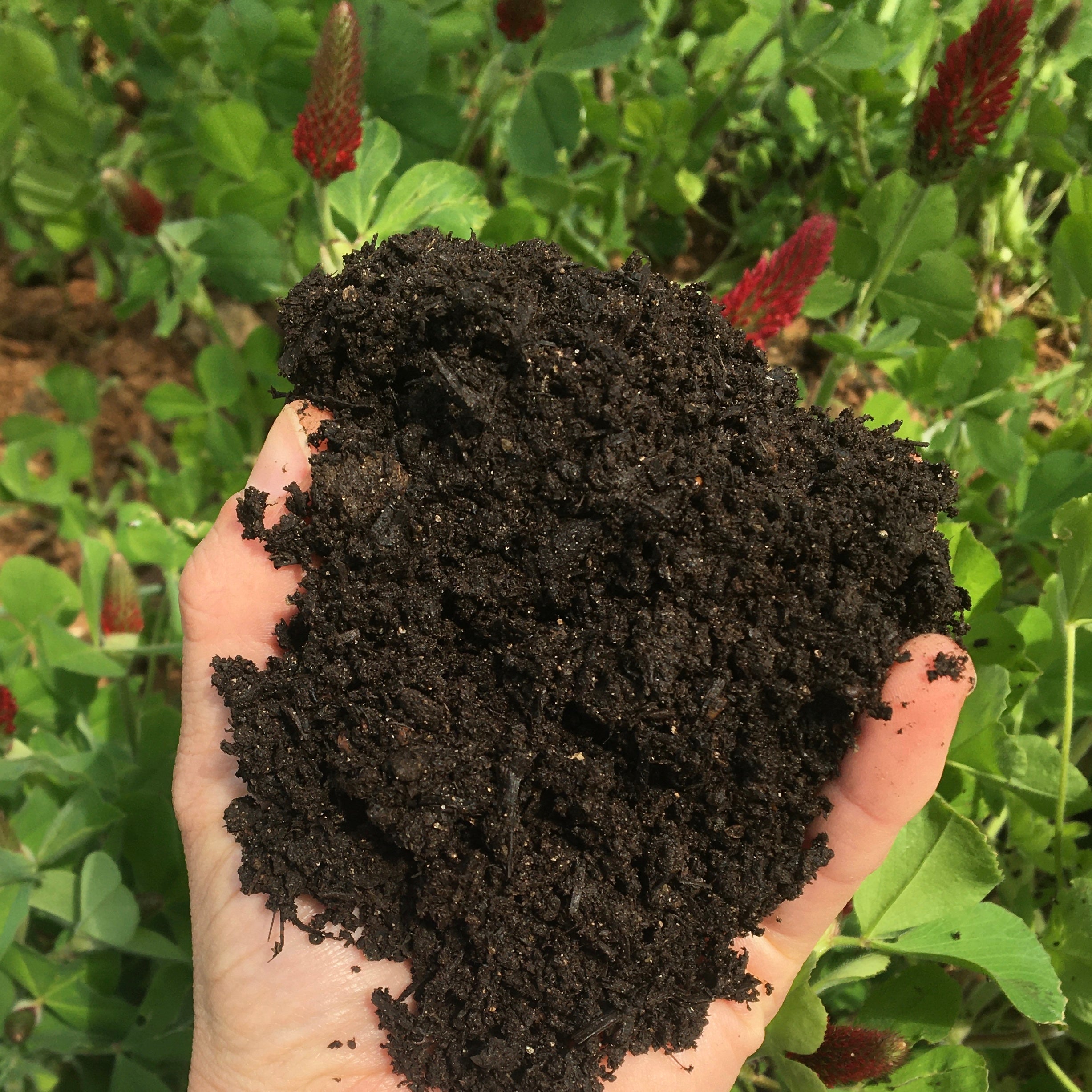 Stonesoup nutrient rich compost-5kg - Stonesoup Shop
