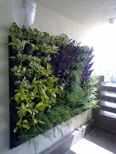 vertical garden through Compost and Grow Kit